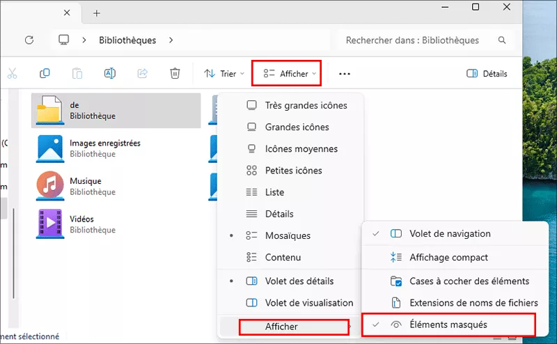 option afficher les éléments cachés
