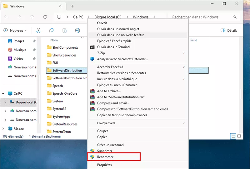 renommer logicieldistribution valeur