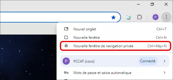 sélectionner une nouvelle fenêtre de navigation privée