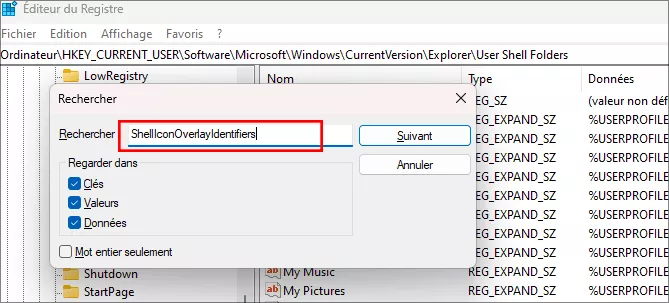 rechercher shelliconoverlayidentifiers